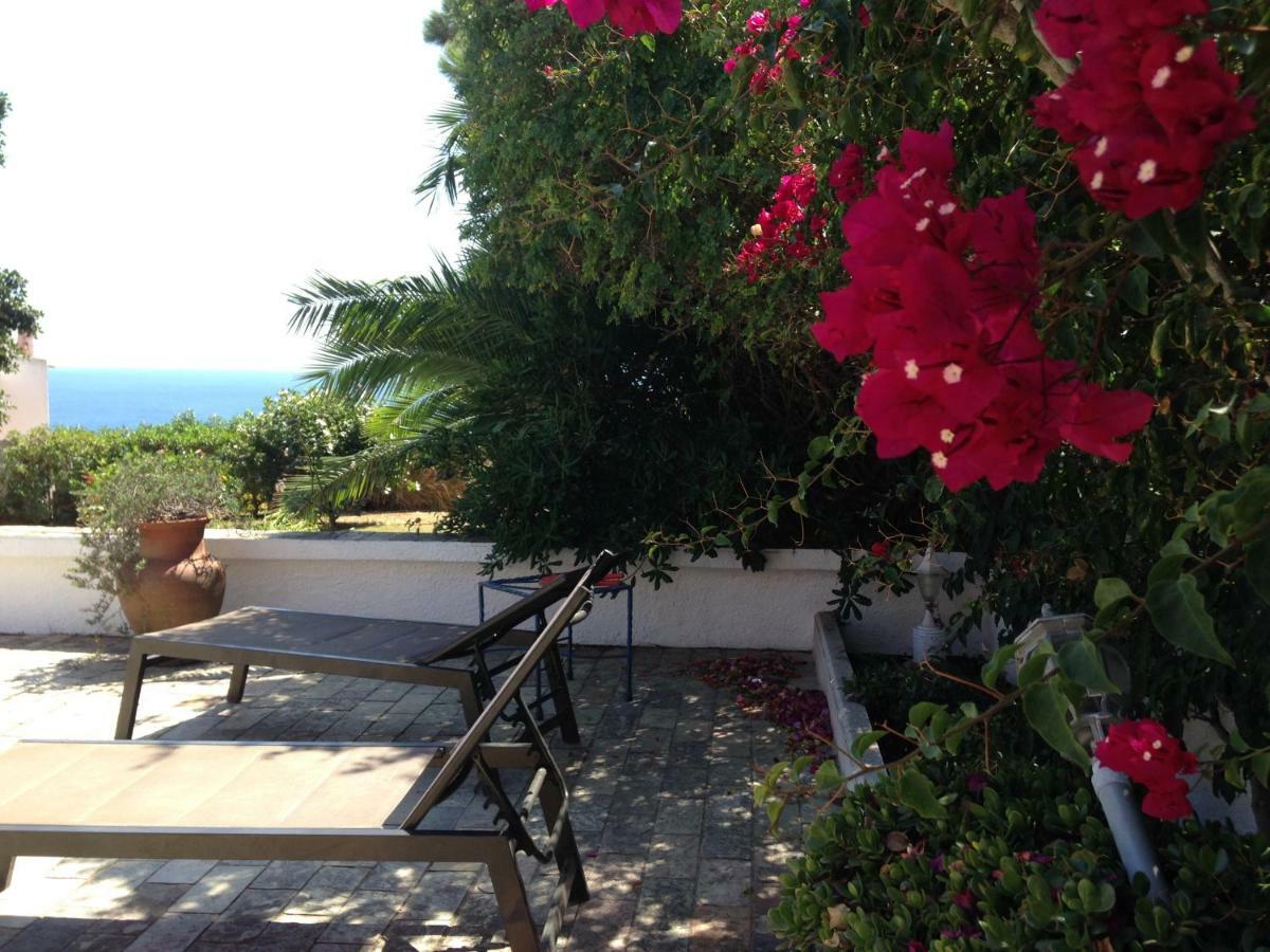 סלמה Great View To Sea, Villa With Pool מראה חיצוני תמונה